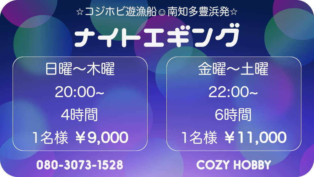 コジホビ遊漁船 ナイトエギング cozy hobby